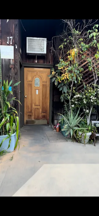 Classic Complexion Picture 9