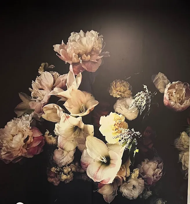 Have Beauty Studio Picture 2