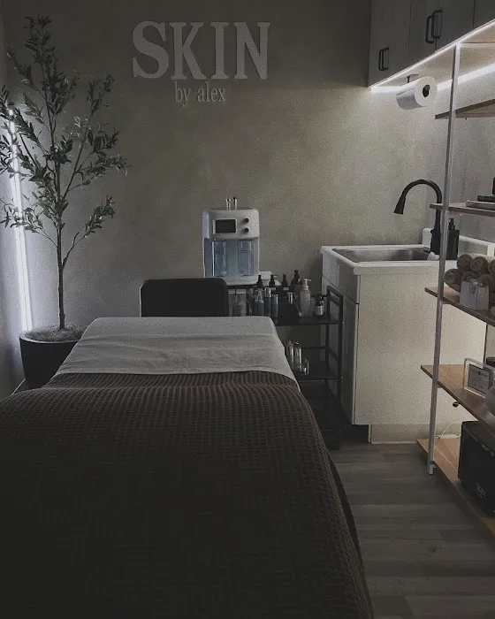 Skin by Alex Picture 4