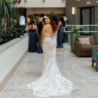 Luminous Skin By Lisa ico