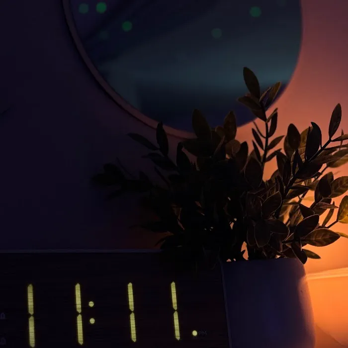 The Face Room Picture 8