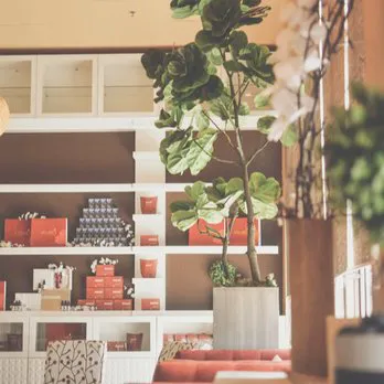 Mirako Spa Picture 4