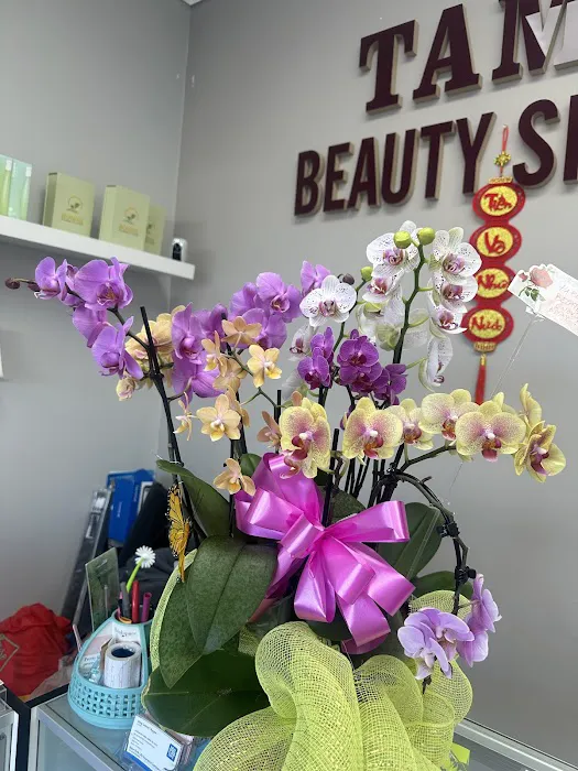 Tammy Beauty Skin Care Picture 2