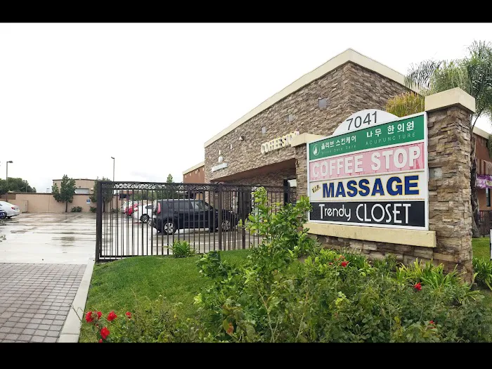 Olive Skin Care Picture 10