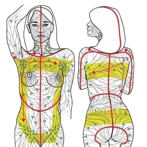 Devas the beauty shop Picture 5