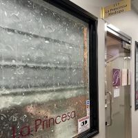 La Princesa Medispa ico