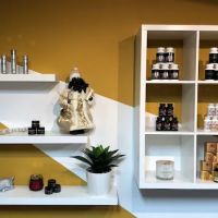 BEAUTY SOLUTIONS SKINCARE & HEALTH LLC ico