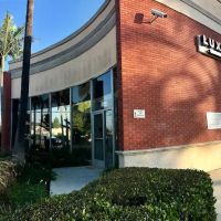 Luxury Medical Spa ico