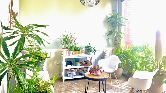 Luxury Medical Spa Picture 2