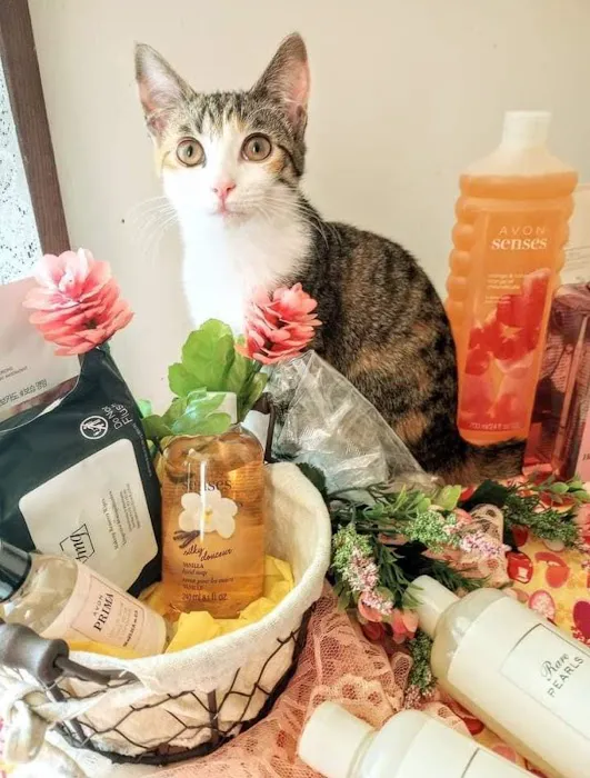 AVON PRODUCTS/ DINA GARCIA Picture 1