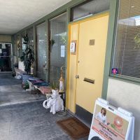 Pearlbeautyisland ico