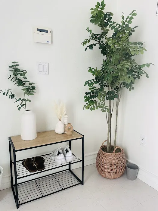 Dalbit Aesthetics Picture 4