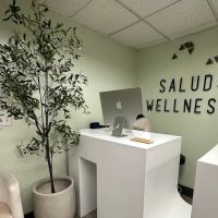 Salud Wellness ico