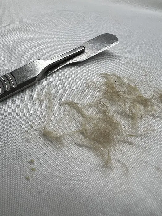 MOD skincare studio Picture 7