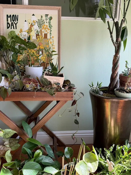 Delight Skin Clinic Picture 8