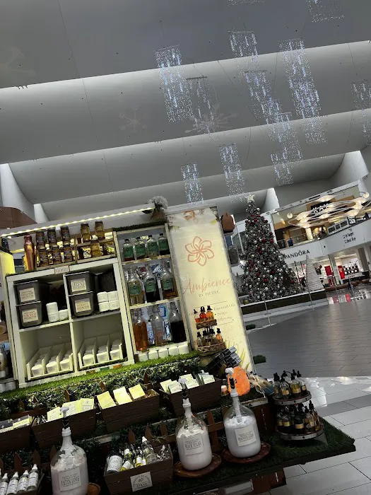 Ambience by Pierre Picture 1