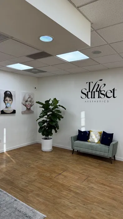 The Sunset Aesthetics Picture 5