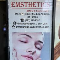 Emsthetics Body & Skin Care ico