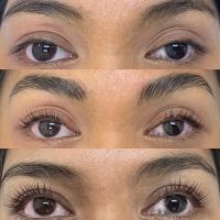 Lash & Brow LA ico