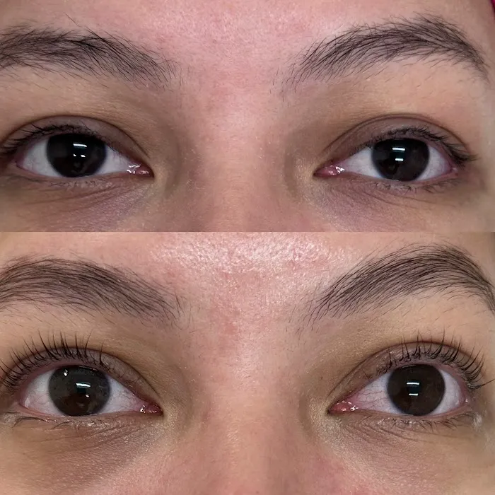 Lash & Brow LA Picture 8