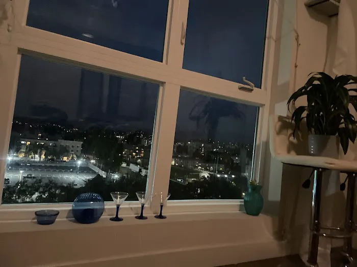 Skincare Center PANTHER CHARMING by Olga Smith LLC Co Picture 2