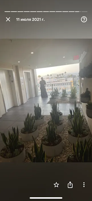 Skincare Center PANTHER CHARMING by Olga Smith LLC Co Picture 8