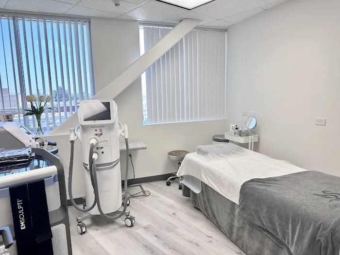 Artist Star Aesthetic Medicine Picture 2