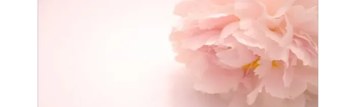 April's Skincare & Beautique, Inc. Picture 3