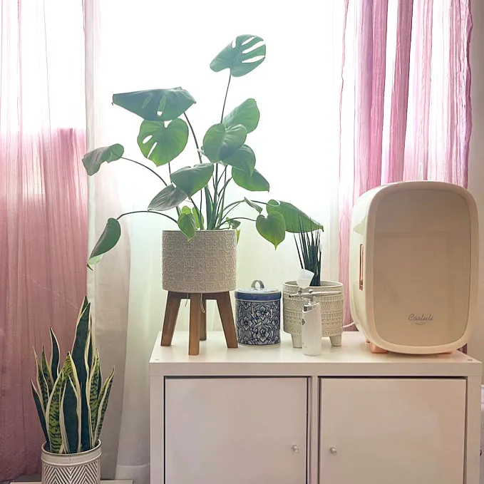 Megan Marlene Skincare Picture 4