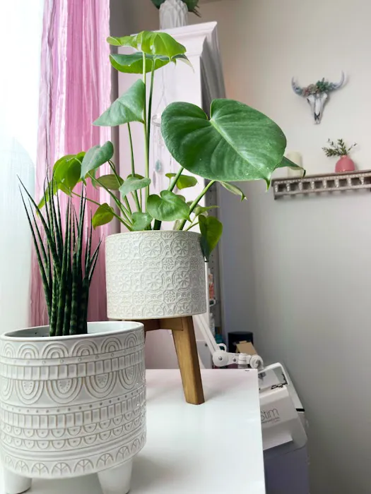 Megan Marlene Skincare Picture 8