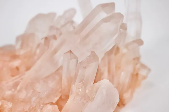 Face Sanctuary LA Picture 7