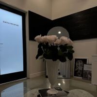 The moody lounge ico