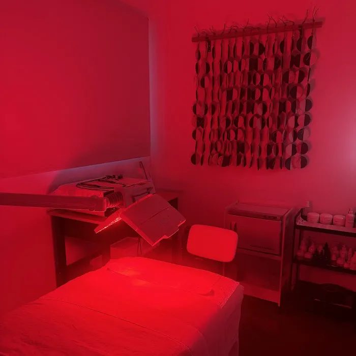 The Organic Esthetician Los Angeles Picture 8