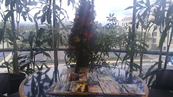 Gloria Skin Care Picture 6