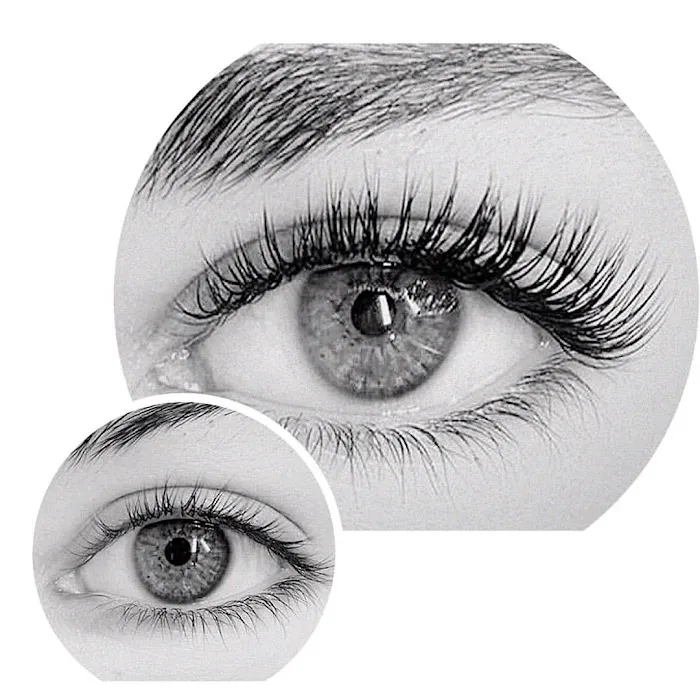 Lash Love LA Picture 1