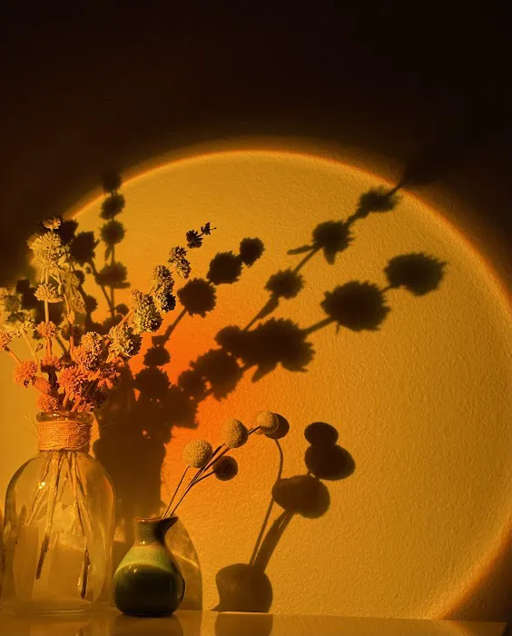 Fresh Skin Care & Beauty Picture 7