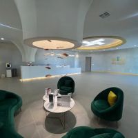 Dling Medical Aesthetic Center, Inc. ico