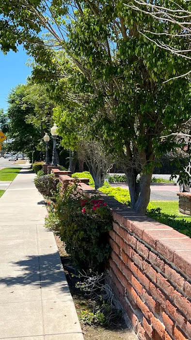 The Skin Co. Picture 2