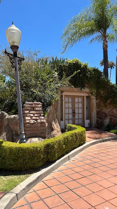 The Skin Co. Picture 3