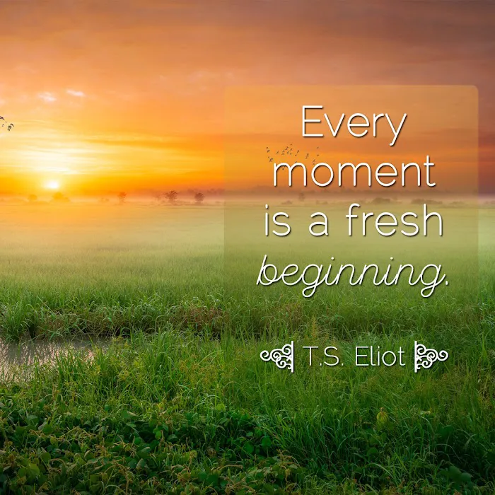 iReGen Regeneration Medicine Picture 8