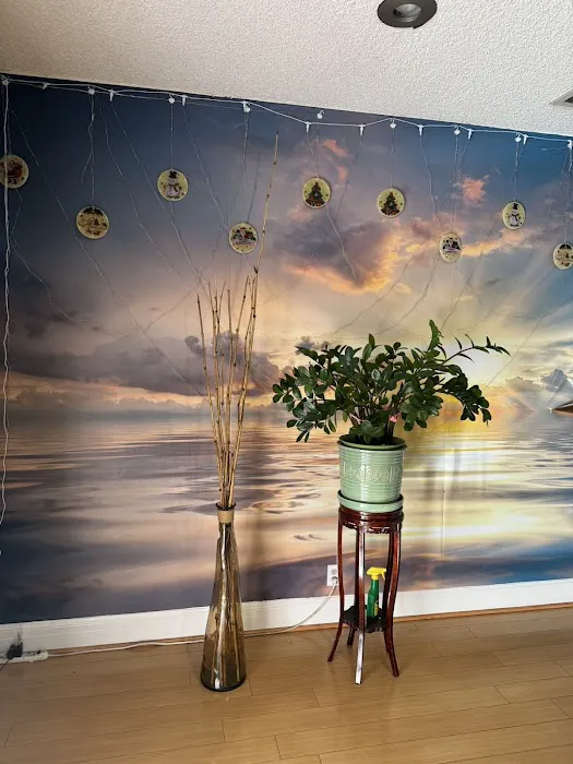 Q Baby Skin Care Picture 1