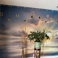 Q Baby Skin Care ico