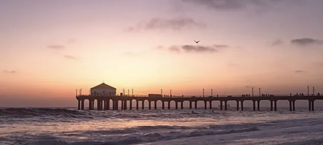 Laura Vera Skin Picture 9