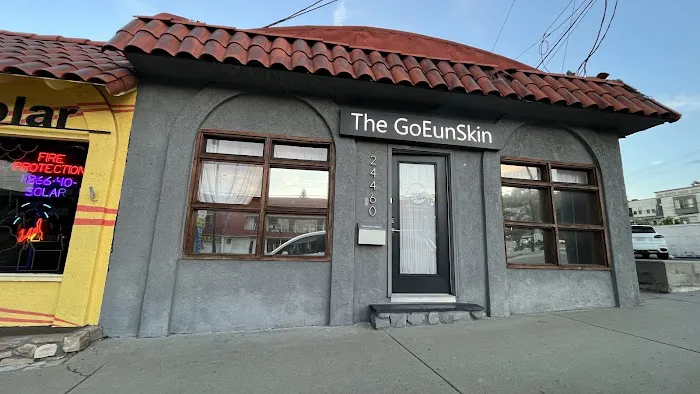 The GoEunSkin Picture 1