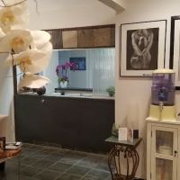 DreamSkin Spa Beverly Hills ico