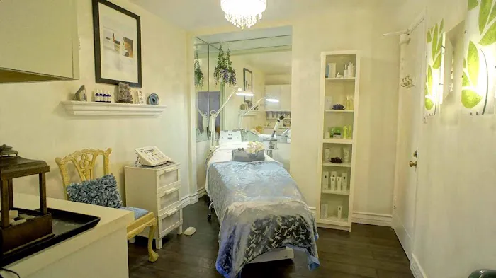 DreamSkin Spa Beverly Hills Picture 5