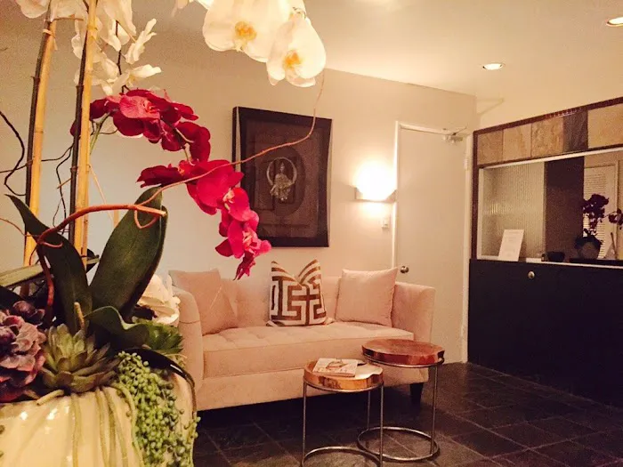 DreamSkin Spa Beverly Hills Picture 10