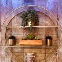 Skin by Jess Levin ico