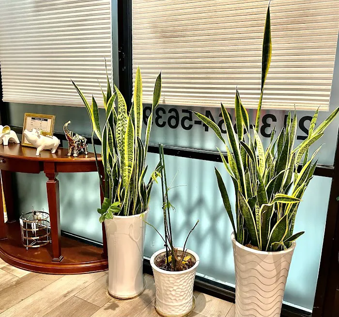 Boa Skin Care Picture 3