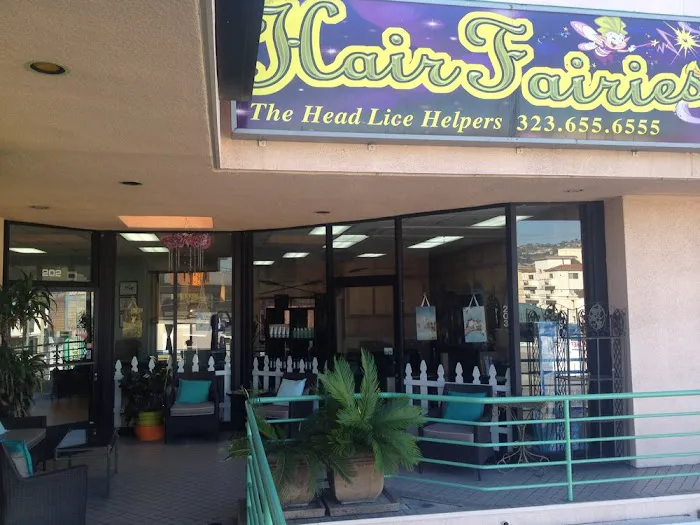 Hair Fairies The Head Lice Helpers Los Angeles Picture 4